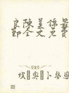 良陈美锦最新章节全文免费阅读封面