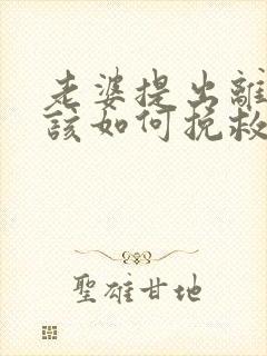 老婆提出离婚我该如何挽救封面