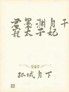 君墨渊月千澜独宠太子妃