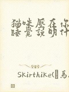 猫咪压在你胸口睡觉说明什么