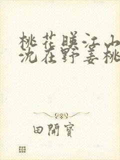 桃花映江山原著沈在野姜桃花全文免费阅读