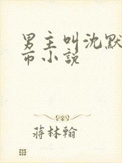 男主叫沈默的都市小说封面