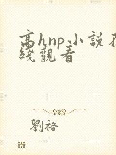 高hnp小说在线观看