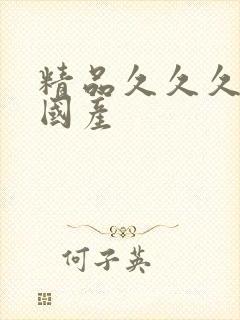 精品久久久久久国产