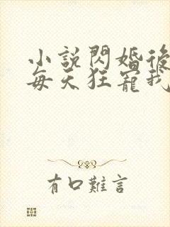 小说闪婚后大叔每天狂宠我免费阅读