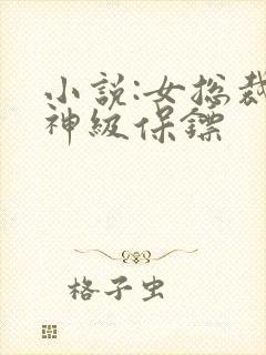 小说:女总裁的神级保镖