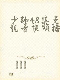 少帅48集免费观看视频播放