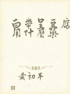 白带呈豆腐渣状用什么药