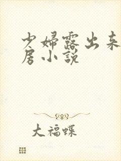 少妇露出来大乳房小说封面