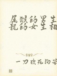 属猴的男生和属龙的女生相配吗