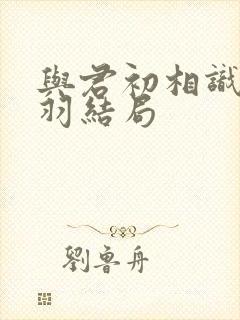 与君初相识姬成羽结局封面