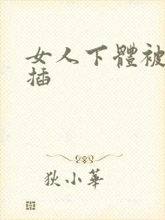 女人下体被男人插