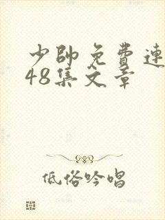 少帅免费连续剧48集文章