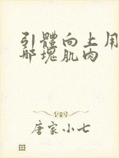 引体向上用的是哪块肌肉封面