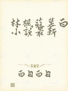 林枫苏慕白穿越小说最新