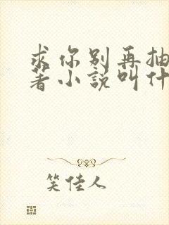 求你别再抽了原著小说叫什么