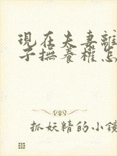 现在夫妻离婚孩子抚养权怎么判定