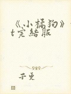 《小橘狗》txt完结版