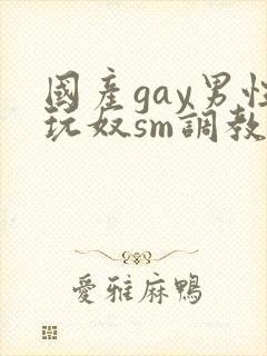 国产gay男性玩奴sm调教封面