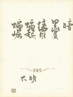 蝙蝠侠黑暗骑士崛起罗宾