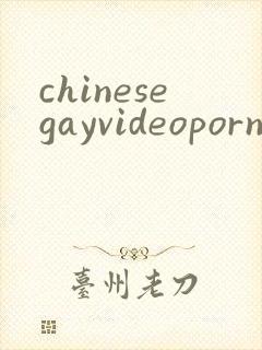 chinesegayvideoporn封面