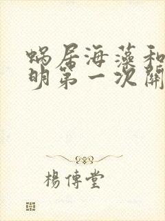 蜗居海藻和宋思明第一次关系在第几集