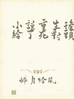 小说重生后我嫁给了死对头封面