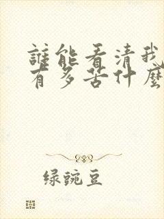 谁能看清我心里有多苦什么歌