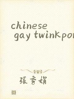 chinese gay twinkporn封面