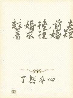 离婚后,前夫哭着求复婚短剧免费观看