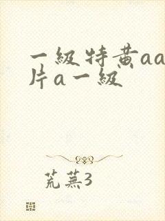 一级特黄aa大片a一级