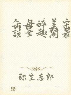 缶母醉美宋城小说笔趣阁最新章节更