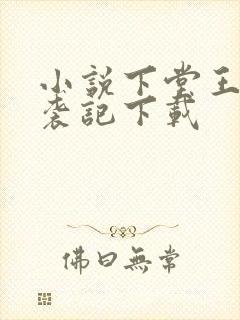 小说下堂王妃逆袭记下载封面