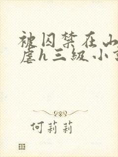 被囚禁在山村淫虐h三级小说