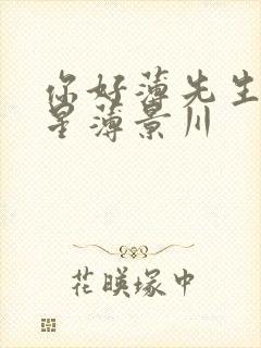 你好薄先生沈繁星薄景川