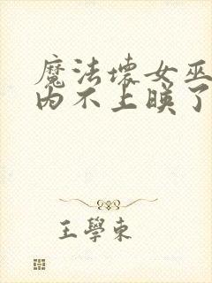 魔法坏女巫2国内不上映了吗