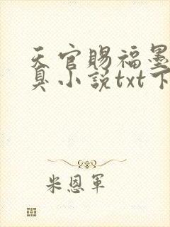 天官赐福墨香铜臭小说txt下载封面