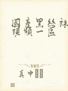 国产黑丝袜自拍视频一区