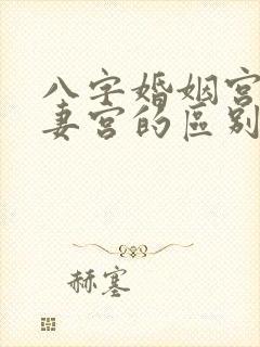 八字婚姻宫和夫妻宫的区别