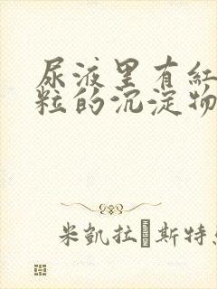 尿液里有红色颗粒的沉淀物