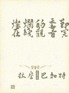 灿烂的季节全集在线观看完整版免费