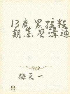 13岁男孩叛逆期怎么沟通