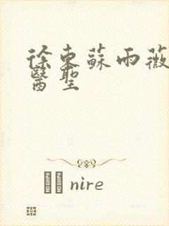 徐东苏雨薇绝世医圣封面