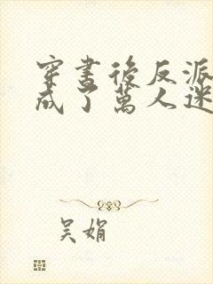 穿书后反派炮灰成了万人迷布衣疯子封面