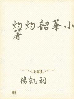 灼灼韶华小说原著