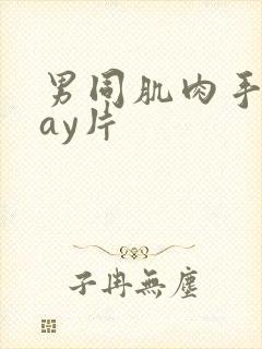 男同肌肉手淫gay片
