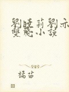 刘晓莉刘亦菲 双飞小说封面