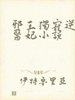 邪王独宠逆天小医妃小说封面