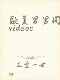 欧美男男同性恋videos