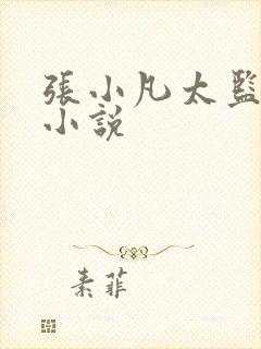 张小凡太监穿越小说封面